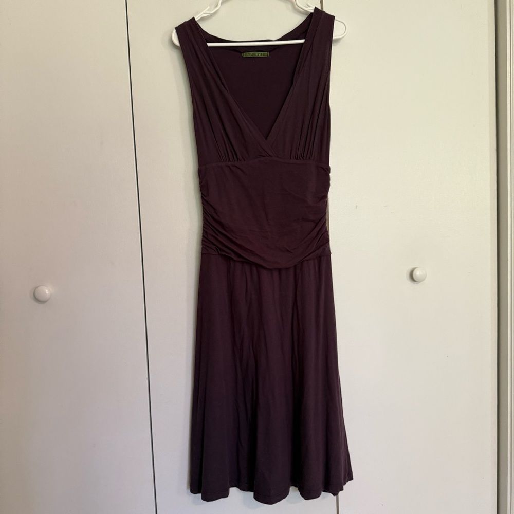 Anthropologie Velvet by Graham & Spencer Rich Plum Midi Dress Women’s Medium